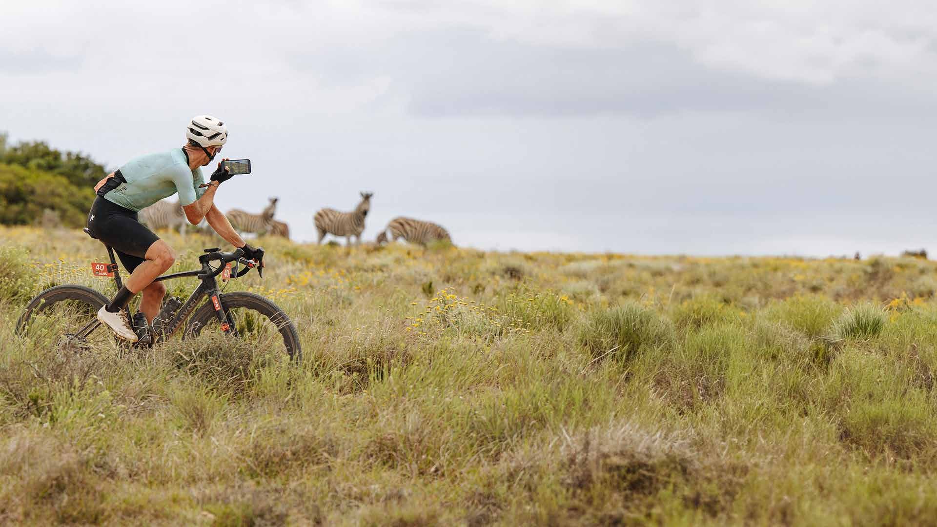 A rider passing zebras in the grassland